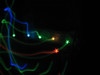 Brandon Smith (Synature) > Interfuse 2008 >  Interfuse2008-6395