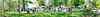 Brandon Smith (Synature) > EarthDay 2006